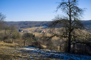 20120222_gnadental_022