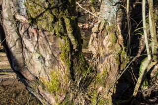 20120222_gnadental_033