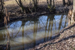 20120222_gnadental_063