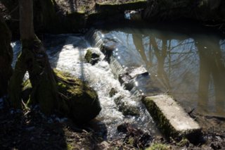 20120222_gnadental_064