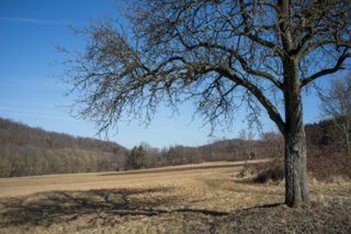 20120222_gnadental_066