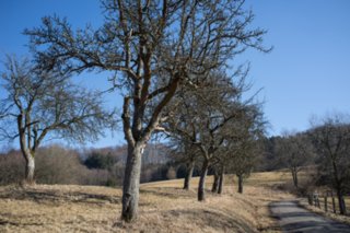 20120222_gnadental_068