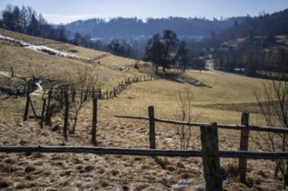 20120222_gnadental_070