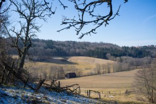 20120222_gnadental_078