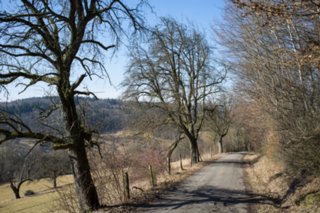 20120222_gnadental_080