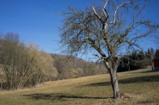 20120222_gnadental_088