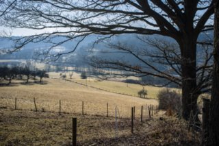20120222_gnadental_099