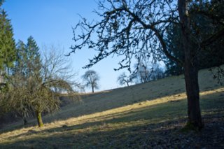20120301_oekum_kirchenrunde_016