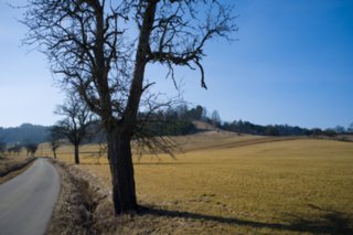 20120301_oekum_kirchenrunde_036