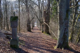 20120301_oekum_kirchenrunde_047