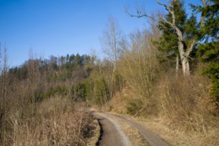 20120301_oekum_kirchenrunde_055