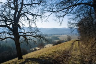 20120301_oekum_kirchenrunde_058-3