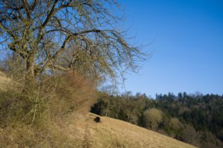 20120301_oekum_kirchenrunde_060