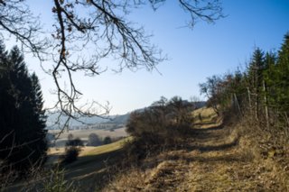 20120301_oekum_kirchenrunde_064-2