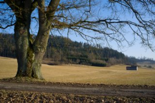 20120301_oekum_kirchenrunde_072