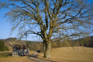 20120301_oekum_kirchenrunde_076