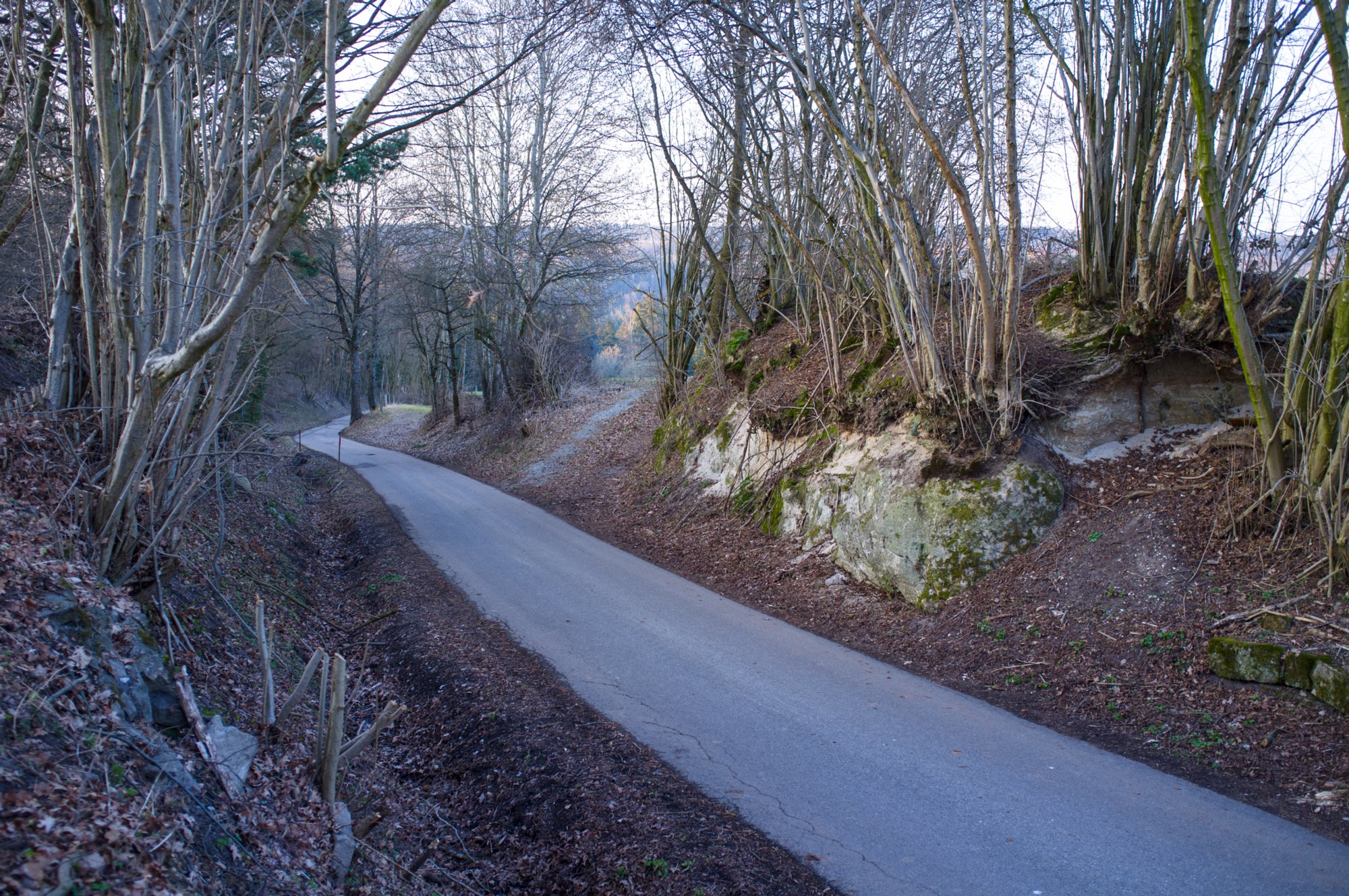 Oberrot - Obermühle - Ebersberg Weg nach Ebersberg. Wanderung von Oberrot zum Weinberg und Wasserreservoir. Oberhalb der Amselhalde. Abstieg über malerischen Holweg zur Obermühle. Ebersberger Sägmühle. Ebersberg. Oberrot.