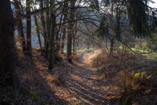 Oberrot - Obermühle - Ebersberg Abstieg über einen Hohlweg zur Obermühle. Wanderung von Oberrot zum Weinberg und Wasserreservoir. Oberhalb der Amselhalde. Abstieg über malerischen Holweg zur...