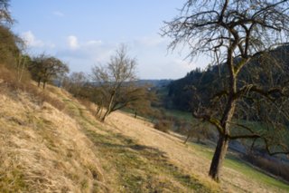 Oberrot - Obermühle - Ebersberg Abstieg über einen Hohlweg zur Obermühle. Wanderung von Oberrot zum Weinberg und Wasserreservoir. Oberhalb der Amselhalde. Abstieg über malerischen Holweg zur...