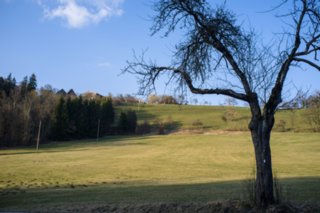 Oberrot - Obermühle - Ebersberg Blick zum Kornberg. Wanderung von Oberrot zum Weinberg und Wasserreservoir. Oberhalb der Amselhalde. Abstieg über malerischen Holweg zur Obermühle. Ebersberger...