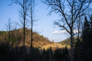 Oberrot - Obermühle - Ebersberg Blick zum Berg über der Obermühle. Wanderung von Oberrot zum Weinberg und Wasserreservoir. Oberhalb der Amselhalde. Abstieg über malerischen Holweg zur...