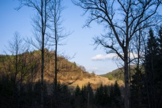 Oberrot - Obermühle - Ebersberg Blick zum Berg über der Obermühle. Wanderung von Oberrot zum Weinberg und Wasserreservoir. Oberhalb der Amselhalde. Abstieg über malerischen Holweg zur...