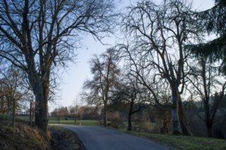 Oberrot - Obermühle - Ebersberg Weg nach Ebersberg. Wanderung von Oberrot zum Weinberg und Wasserreservoir. Oberhalb der Amselhalde. Abstieg über malerischen Holweg zur Obermühle. Ebersberger...