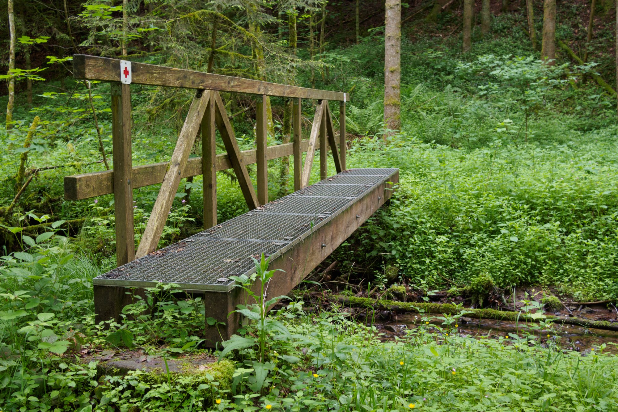 Orntal Wanderung von Maibach über das Orntal nach Schuppach und zurück über Hegenheule nach Maibach.