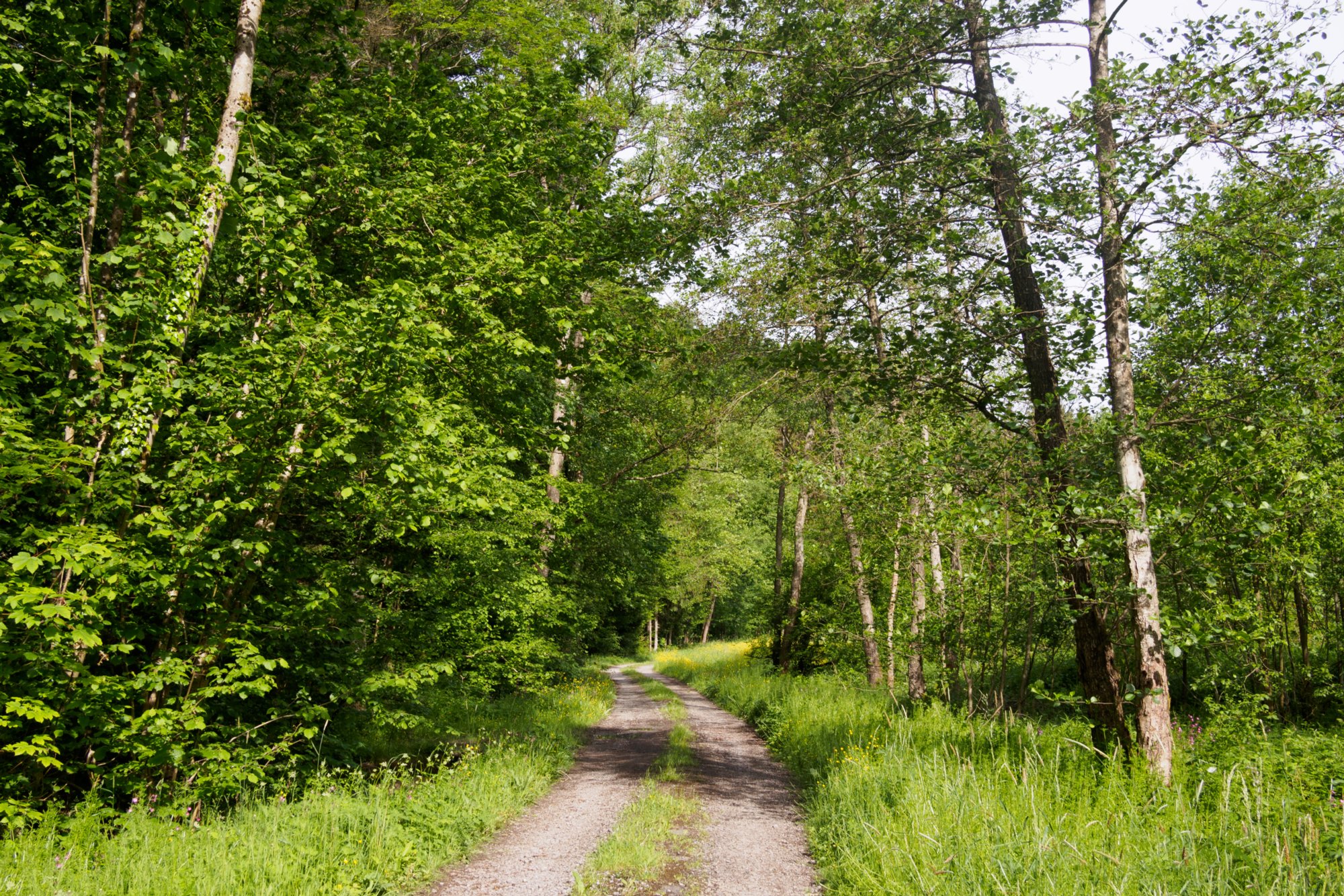 Orntal Wanderung von Maibach über das Orntal nach Schuppach und zurück über Hegenheule nach Maibach.
