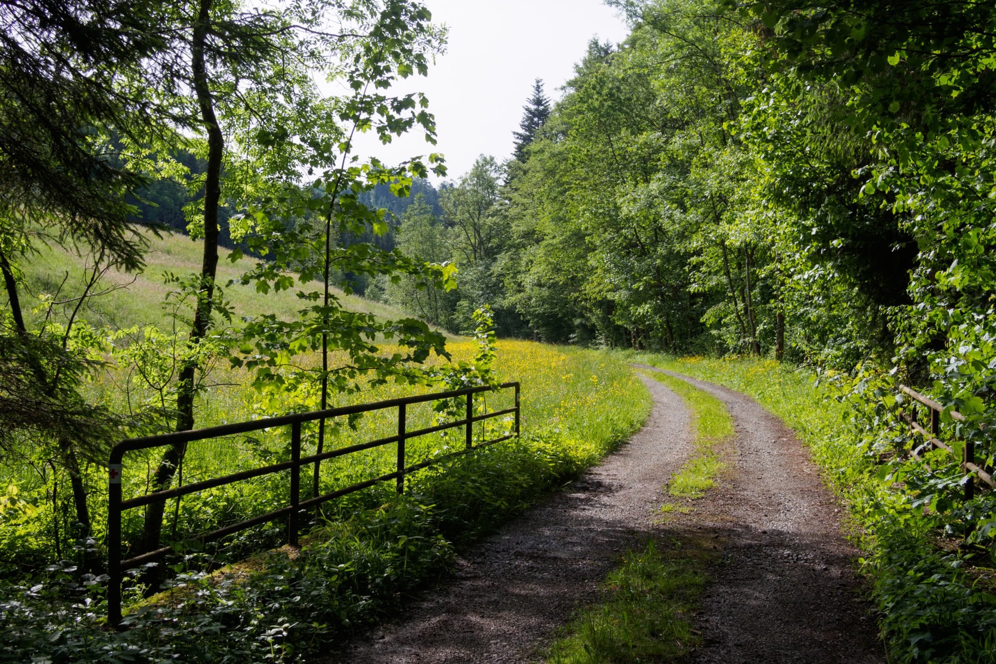 Orntal Wanderung von Maibach über das Orntal nach Schuppach und zurück über Hegenheule nach Maibach.