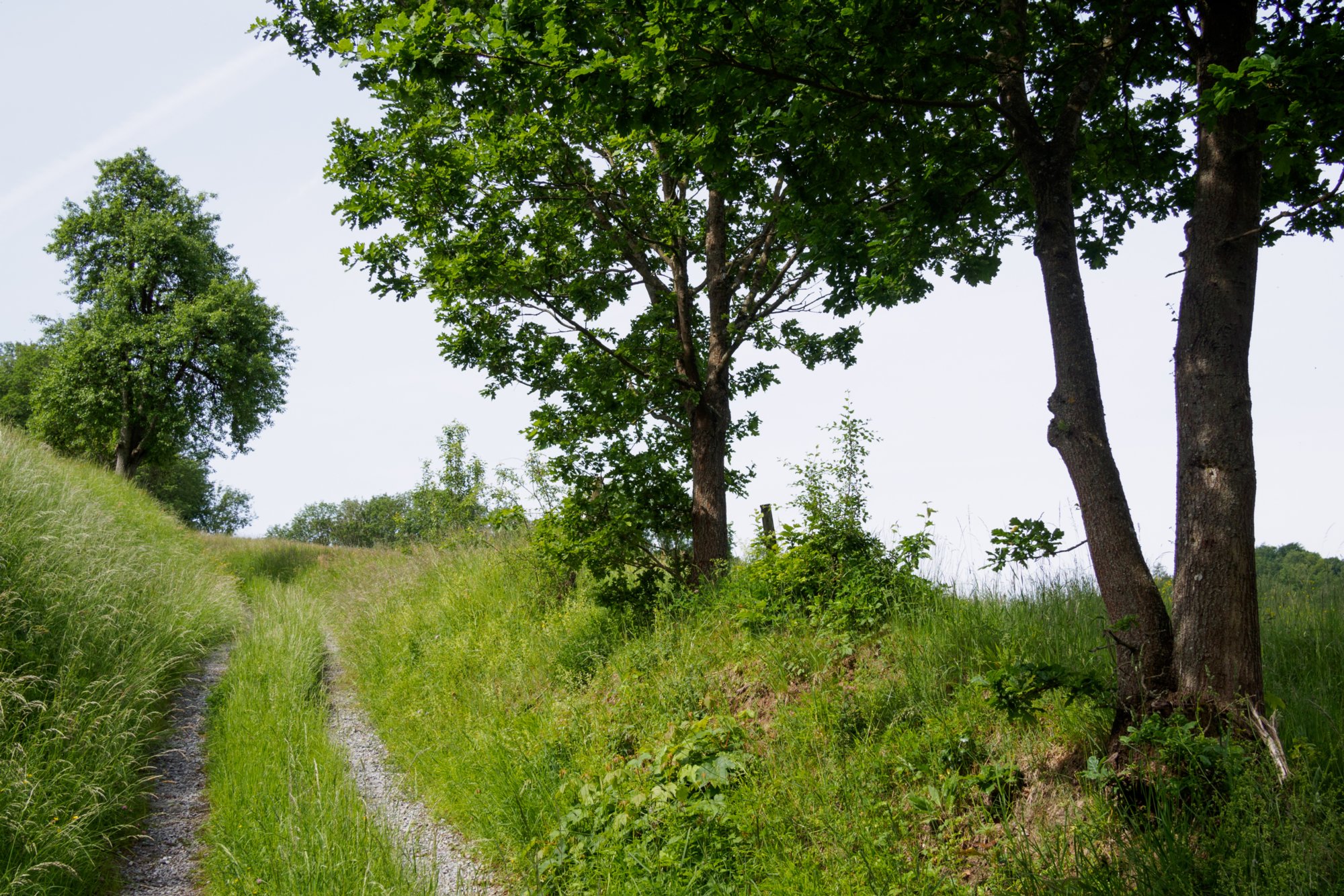 Bei Schuppach Wanderung von Maibach über das Orntal nach Schuppach und zurück über Hegenheule nach Maibach.