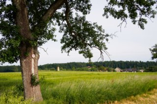 20150531_maibach-schuppach_004