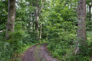 20150531_maibach-schuppach_008