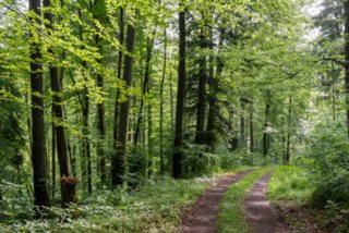 20150531_maibach-schuppach_009