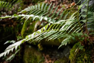 20150531_maibach-schuppach_010