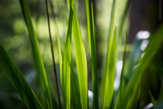 20150531_maibach-schuppach_014