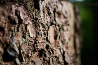 20150531_maibach-schuppach_016