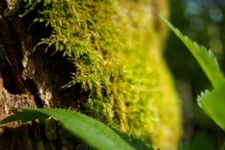 20150531_maibach-schuppach_017