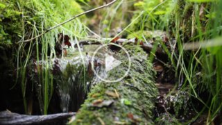 20150531_maibach-schuppach_021