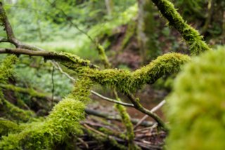 20150531_maibach-schuppach_022