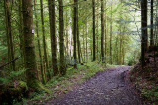 20150531_maibach-schuppach_024