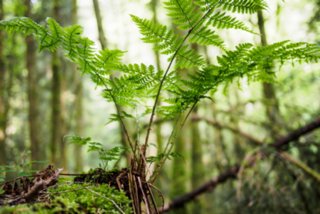 20150531_maibach-schuppach_025