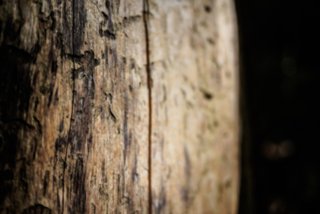 20150531_maibach-schuppach_028