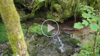 20150531_maibach-schuppach_029