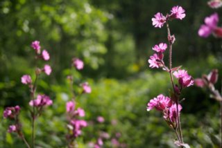 20150531_maibach-schuppach_032