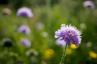 20150531_maibach-schuppach_035