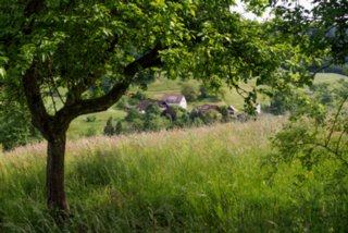 20150531_maibach-schuppach_053