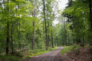 20150531_maibach-schuppach_065