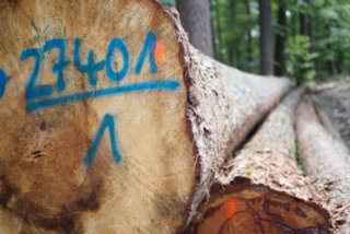 20150531_maibach-schuppach_066