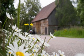 20150531_maibach-schuppach_073